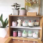 Terrarium Cactus candle in a glass’