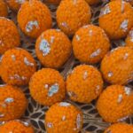 Laddu Diwali Candle Set