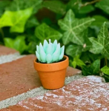 Succulent Cactus Candle – Handmade Beeswax & Soy Wax Plant Candle in Clay Pot, Eco-Friendly Gift