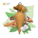 Camphor Cone - Sandalwood