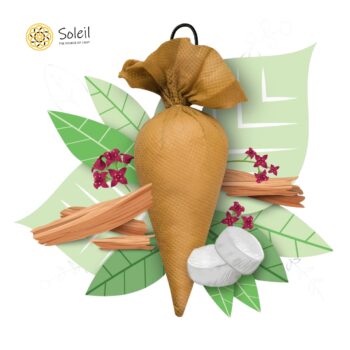 Camphor Cone - Sandalwood