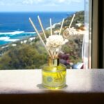 Sandalwood Reed Diffuser